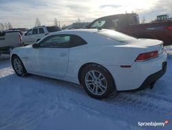 Używany 2015 Chevrolet Camaro LS | 47 000 zł (Uczciwa cena)