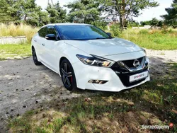 Biały Używany 2015 Nissan Maxima Sedan/Limuzyna | 69 990 zł
