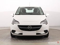 Biały Używany 2017 Opel Corsa Hatchback | 31 999 zł (Uczciwa cena)