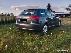 Szary Używany 2006 Audi A3 Hatchback | 15 800 zł (Uczciwa cena)