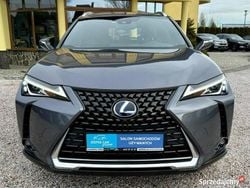 Szary Używany 2021 Lexus UX SUV | 99 900 zł (Dobra cena)