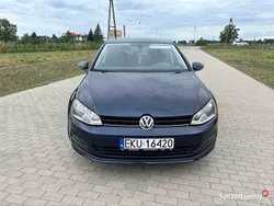 Granatowy Używany 2015 VW Golf VII Hatchback | 39 900 zł (Uczciwa cena)