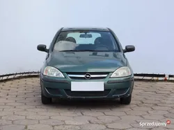 Zielony Używany 2004 Opel Corsa Hatchback | 1499 zł (Dobra cena)