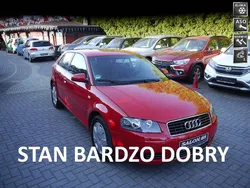 Czerwony Używany 2004 Audi A3 Hatchback | 13 400 zł (Uczciwa cena)