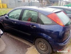 Używany 2003 Ford Focus | 1100 zł