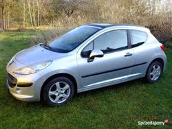 Używany 2006 Peugeot 207 | 6500 zł (Dobra cena)