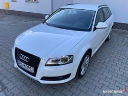 Biały Używany 2009 Audi A3 Hatchback | 28 999 zł (Dość drogi)
