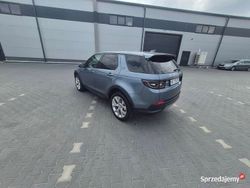 Używany 2023 Land Rover Discovery Sport SUV | 109 163 zł (Dość drogi)
