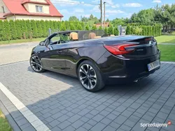 Brązowy Używany 2013 Opel Cascada Kabriolet | 40 900 zł