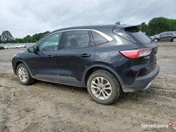 Używany 2020 Ford Escape SE SUV | 43 000 zł (Dobra cena)