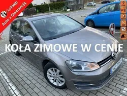 Szary Używany 2013 VW Golf VII Trendline Hatchback | 31 500 zł (Dobra cena)