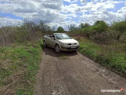 Złoty Używany 2004 Renault Mégane Cabriolet Kabriolet | 5500 zł