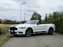 Biały Używany 2016 Ford Mustang Coupe | 84 900 zł (Uczciwa cena)