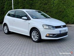 Biały Używany 2015 VW Polo Hatchback | 28 900 zł (Dobra cena)