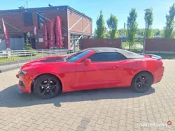 Używany 2021 Chevrolet Camaro Kabriolet | 120 000 zł