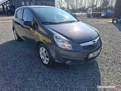 Szary Używany 2010 Opel Corsa Hatchback | 16 400 zł (Uczciwa cena)