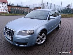 Używany 2006 Audi A3 Hatchback | 15 490 zł (Uczciwa cena)