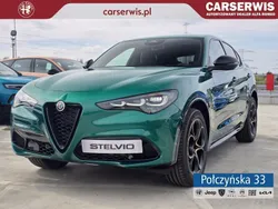 Czerwony Nowe 2025 Alfa Romeo Stelvio SUV | 244 890 zł