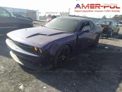 Fioletowy Używany 2016 Dodge Challenger Coupe | 84 000 zł