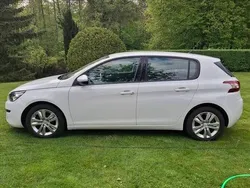 Biały Używany 2014 Peugeot 308 Hatchback | 25 000 zł (Dobra cena)