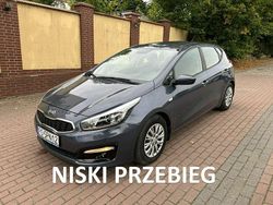 Szary (metalik) Używany 2016 Kia Ceed 2 Hatchback | 38 900 zł (Uczciwa cena)