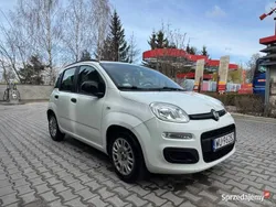 Biały Używany 2014 Fiat Panda Hatchback | 18 500 zł (Uczciwa cena)