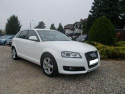 Biały Używany 2010 Audi A3 Hatchback | 27 900 zł (Uczciwa cena)