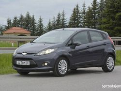 Grafitowy Używany 2010 Ford Fiesta Hatchback | 17 300 zł (Uczciwa cena)