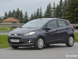 Grafitowy Używany 2010 Ford Fiesta Hatchback | 17 300 zł