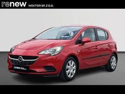 Czerwony Używany 2015 Opel Corsa Enjoy Hatchback | 31 900 zł (Dość drogi)