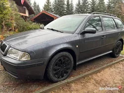 Szary Używany 2007 Skoda Octavia Kombi | 6500 zł (Dobra cena)