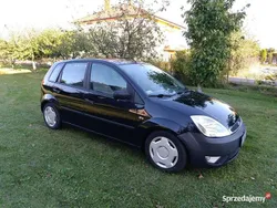 Używany 2002 Ford Fiesta Hatchback | 5500 zł