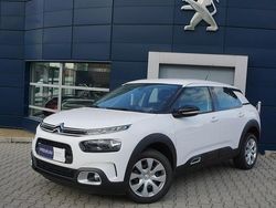 Biały Używany 2019 Citroën C4 Cactus Hatchback | 71 500 zł