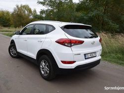Biały Używany 2017 Hyundai Tucson SUV | 49 990 zł (Super Cena)