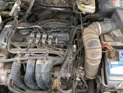 Bordowy Używany 2003 Ford Focus Hatchback | 3000 zł (Uczciwa cena)