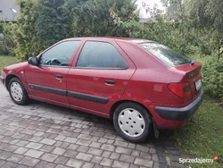Bordowy Używany 1999 Citroën Xsara Hatchback | 6900 zł