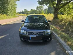 Czarny (metalik) Używany 2005 Audi A3 Hatchback | 7700 zł (Super Cena)