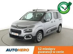 Szary Używany 2019 Citroën Berlingo Minivan | 64 900 zł (Dość drogi)