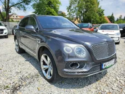 Szary Używany 2019 Bentley Bentayga SUV | 430 000 zł