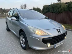 Srebrny Używany 2006 Peugeot 307 Kombi | 6500 zł (Dość drogi)