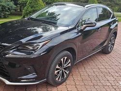Czarny Używany 2020 Lexus NX300 SUV | 159 000 zł