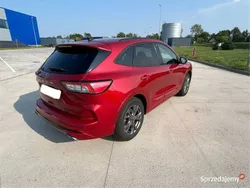 Używany 2020 Ford Kuga ST-Line SUV | 78 000 zł (Uczciwa cena)