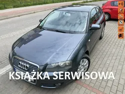 Szary Używany 2008 Audi A3 Hatchback | 16 800 zł (Uczciwa cena)