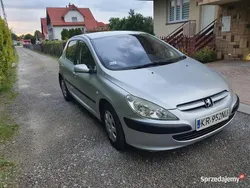 Srebrny Używany 2003 Peugeot 307 Hatchback | 5900 zł (Uczciwa cena)