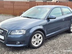 Używany 2010 Audi A3 | 18 900 zł (Dobra cena)