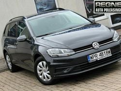 Szary Używany 2019 VW Golf VII Business Kombi | 44 900 zł (Uczciwa cena)