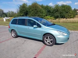 Używany 2003 Peugeot 307 | 5500 zł (Dość drogi)