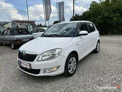 Biały Używany 2014 Skoda Fabia Hatchback | 14 900 zł (Dobra cena)