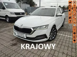 Biały (metalik) Używany 2021 Skoda Octavia Kombi | 95 900 zł (Drogi)