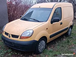 Żółty Używany 2005 Renault Kangoo Minivan | 4950 zł (Dość drogi)